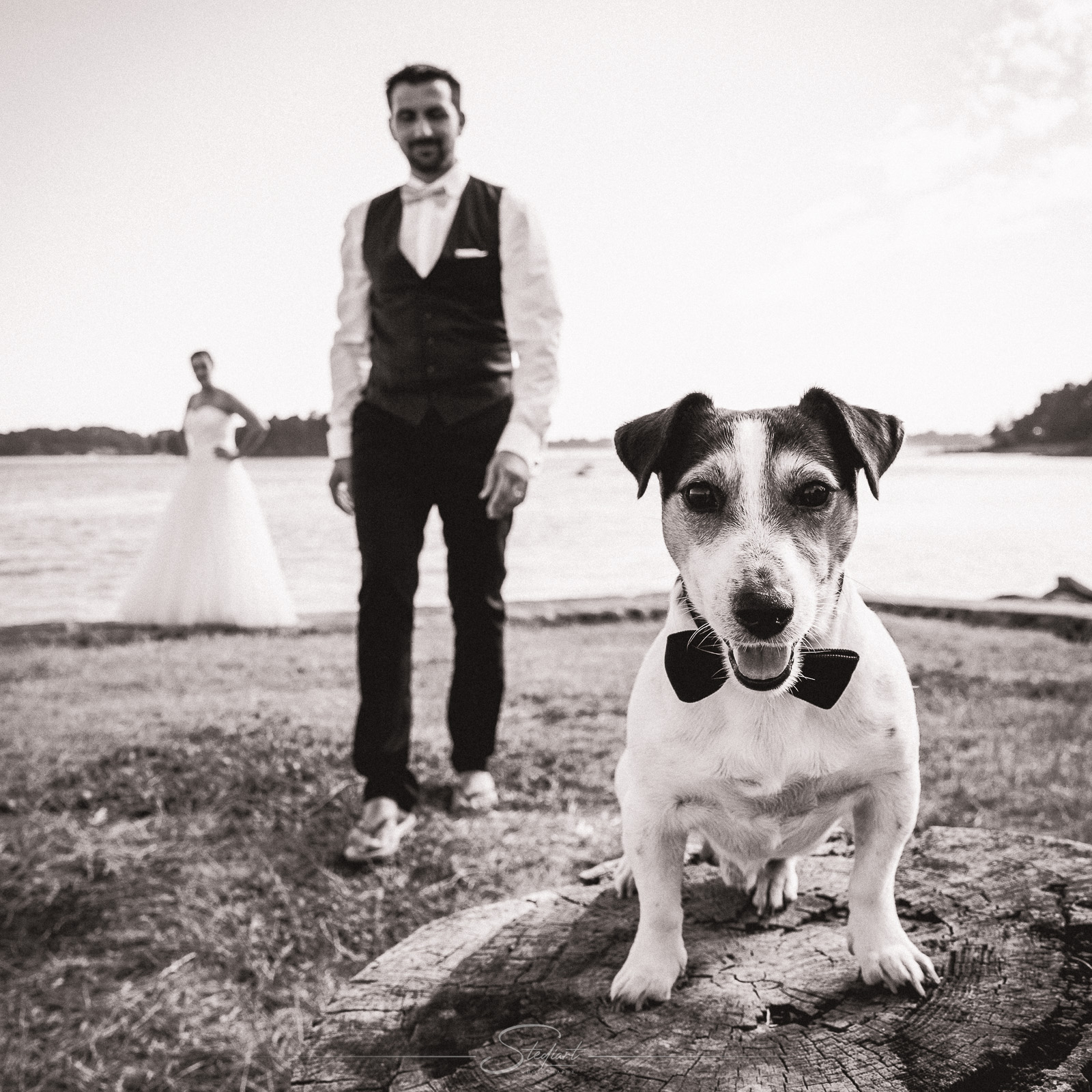 Stediart - Photos de mariage artistiques haut de gamme